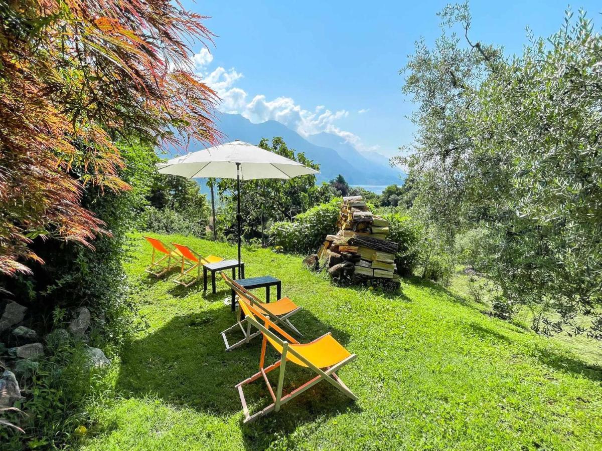 Breva Loft Tra Gli Ulivi Ed Il Lago Bellagio Esterno foto