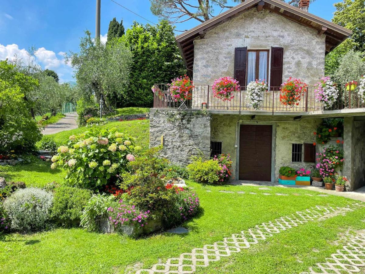 Breva Loft Tra Gli Ulivi Ed Il Lago Bellagio Esterno foto