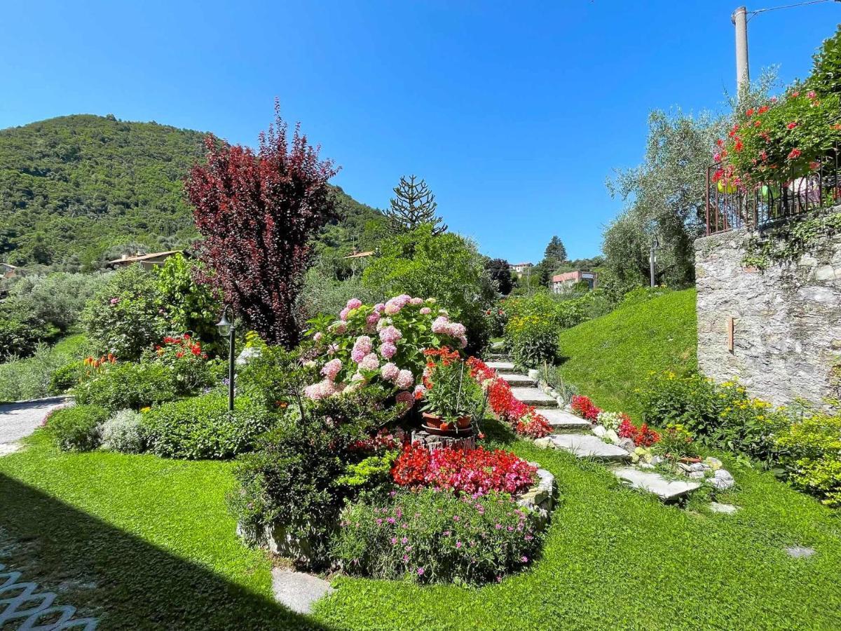 Breva Loft Tra Gli Ulivi Ed Il Lago Bellagio Esterno foto