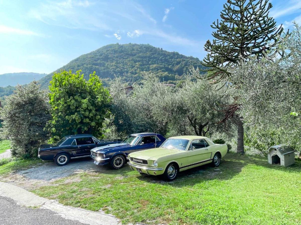Breva Loft Tra Gli Ulivi Ed Il Lago Bellagio Esterno foto